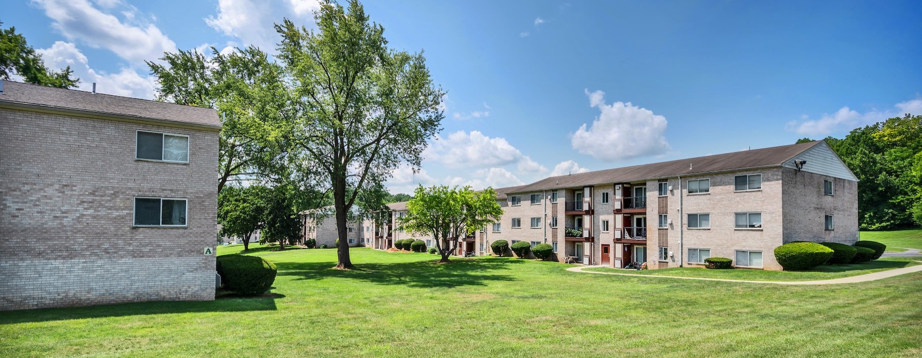 buildings with a tree and grass